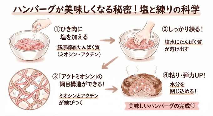 ハンバーグが美味しくなる秘密!塩と練りの科学